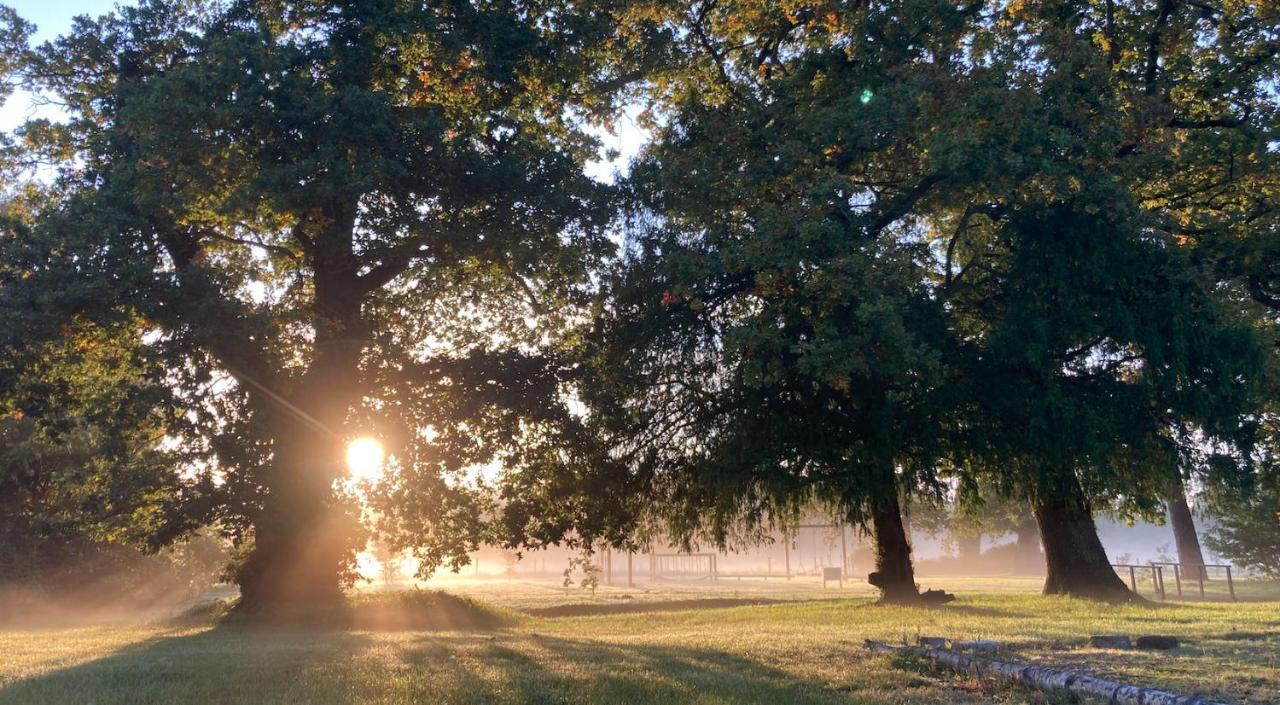 The Retreat New Forest, Hinton Christchurch  Buitenkant foto